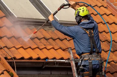 Démoussage et hydrofuge de toiture à Pruzilly